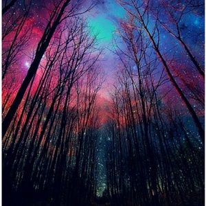 Meet your Posher, Ash